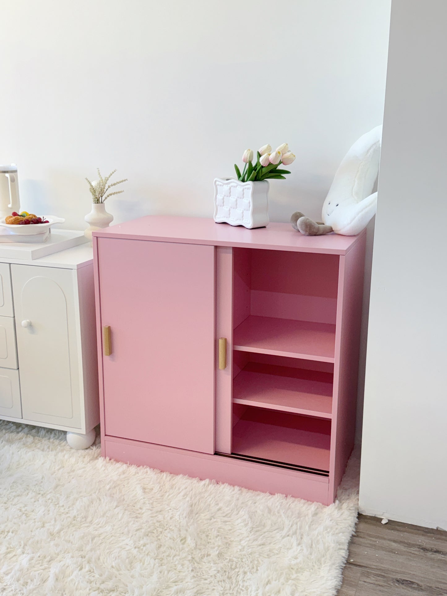 Cabinet with Storage