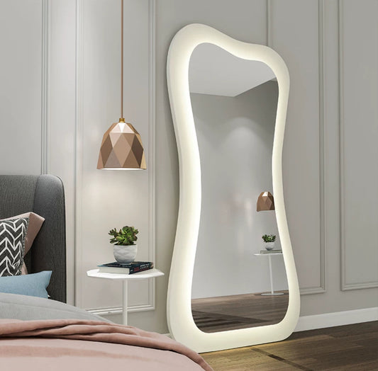 Full Length Mirror with Light